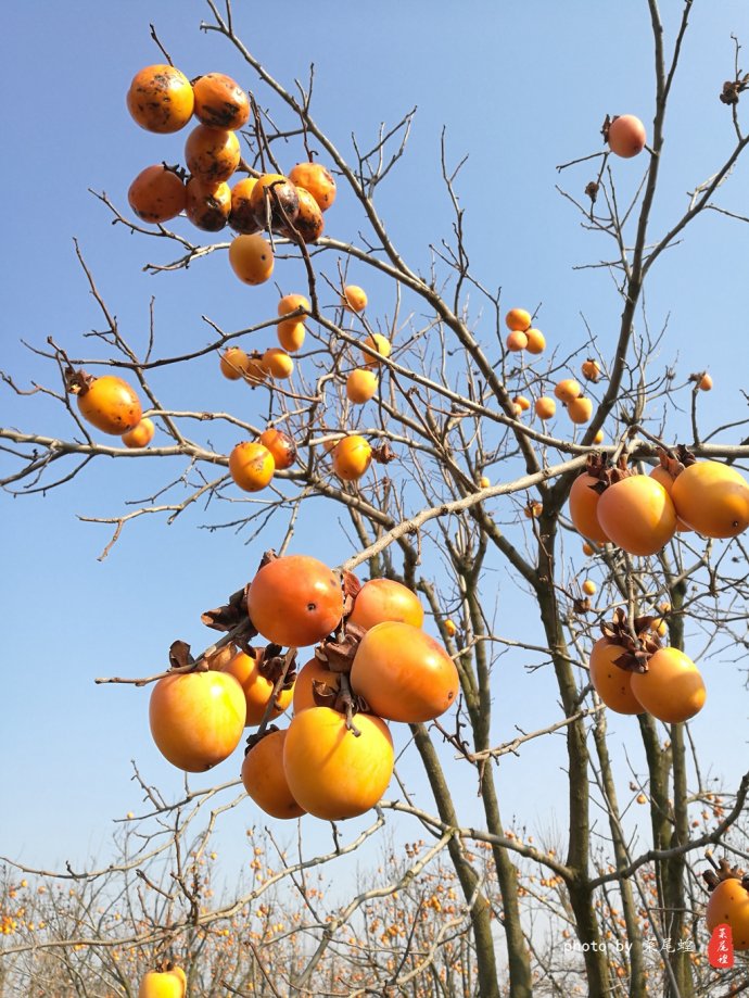 青岛哪里可以泡冰水浴,青岛什么地方可以泡温泉泡澡