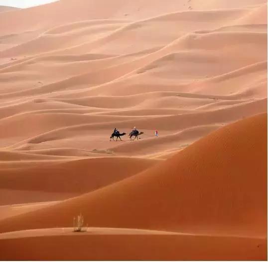 免签出境游推荐,春节海外免签旅游推荐