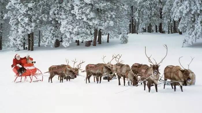 圣诞老人骑的那个鹿叫什么鹿,圣诞老人的坐骑麋鹿到底有多大