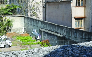 涨知识大学生,浙江大学和贵州大学