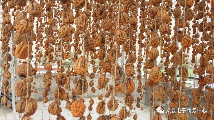 文县贾昌一个“胖子”变”瘦子“的过程