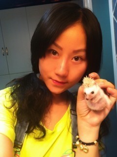 异宠:刺猬界的侏儒——非洲迷你刺猬