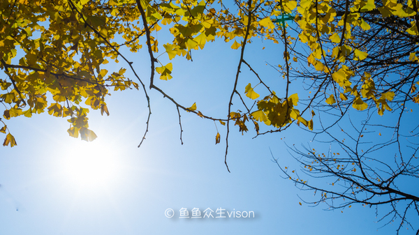 腾冲热海泡温泉旅游攻略,踏上腾冲温泉之旅享受泡汤的美好