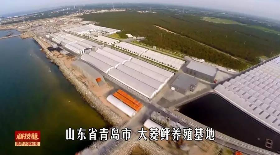 水产养殖对孔雀石绿禁用吗,孔雀石绿水产养殖