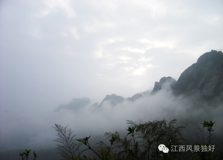 最美云海，人间仙境在江西