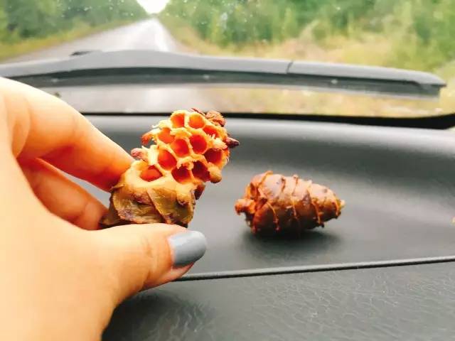 这些是今年最好吃的圣诞礼物，梦厂都给你整理好了！