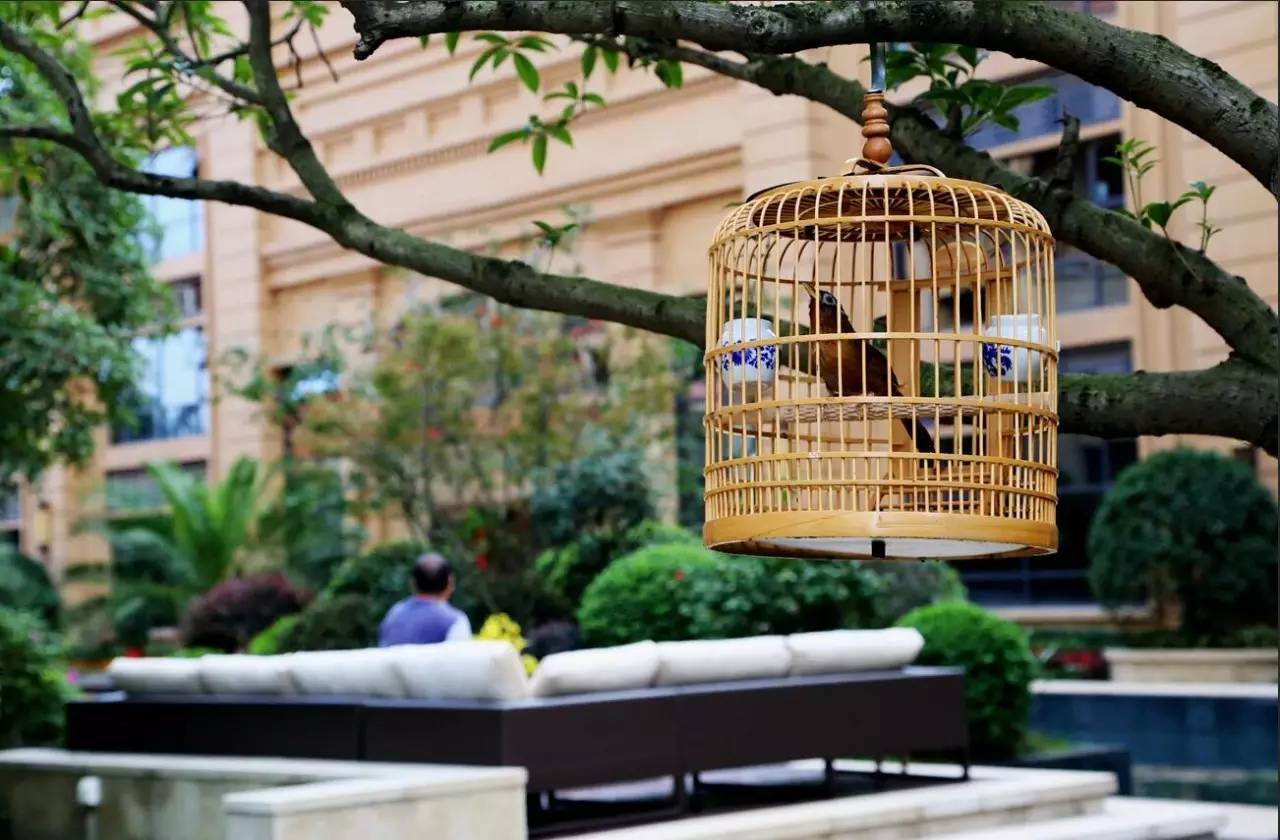 青白江，一个幸福感爆棚的城市，因为我们这样生活……