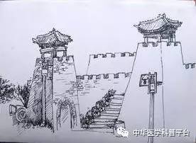 每天都在洗,皮肤这道“城墙”是怎样建成的