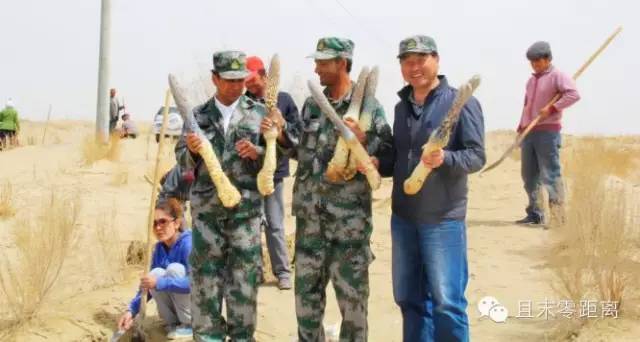 坐着飞机去度假,坐着飞机去过年