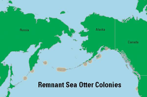 比雪地靴还好的鞋,canadagoose哪款是鹅绒