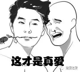 缇庨澶╀笅鍏荤敓澶у笀,缇庨澶╀笅棣欑尓