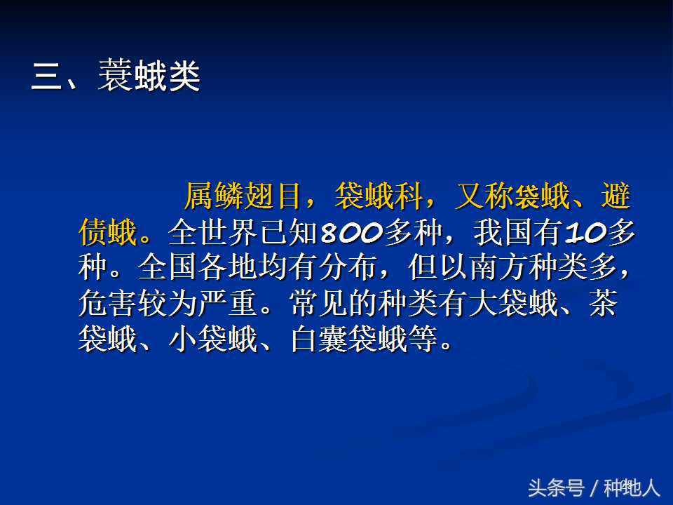 会吃叶子的虫子有哪些,哪些虫子爱吃树叶虫