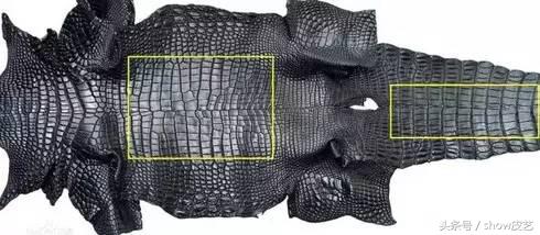 鳄鱼皮如何做皮具,手工皮具鳄鱼皮包