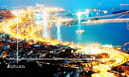 一个人陪你去舟山看海,一个人陪我去舟山看海