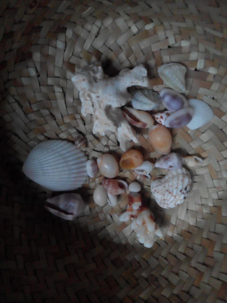 巴厘岛12月旅游,12月份巴厘岛旅游攻略