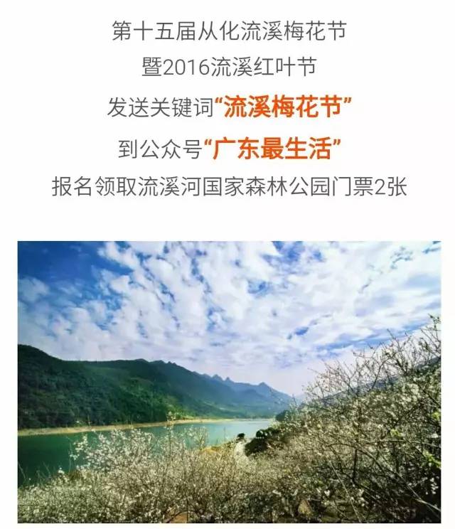 共享汽车深圳,共享汽车上市