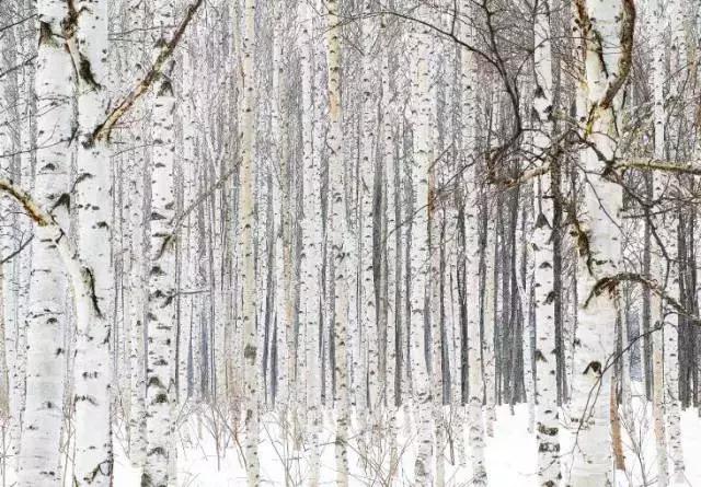 第一次到日本走什么通道,去北海道怎么走最合适