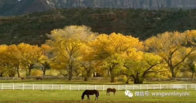 翻转手术多久能恢复,手术后食欲下降正常吗