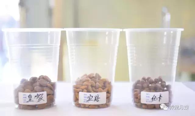 狗粮测评进口粮,狗粮评测报告