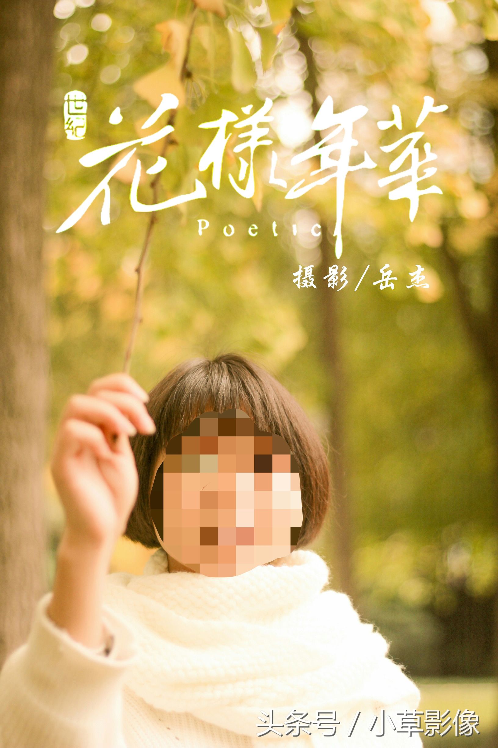 录像基础知识入门构图,入门单反拍照构图技巧