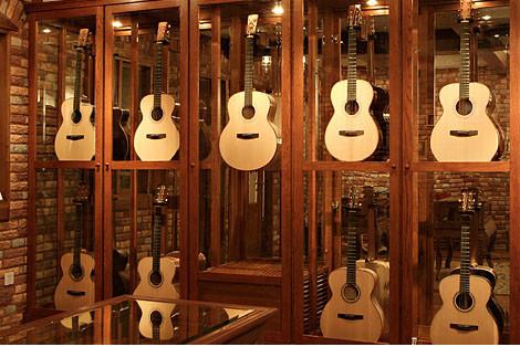 关于吉他的专业知识,关于吉他学习的知识