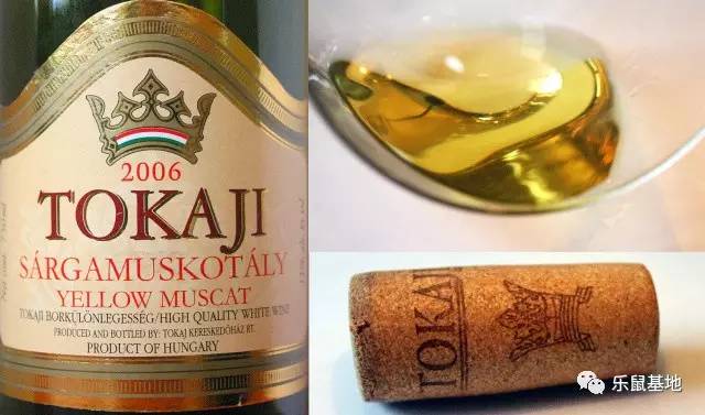 匈牙利布达佩斯吃中国美食,布达佩斯的美食