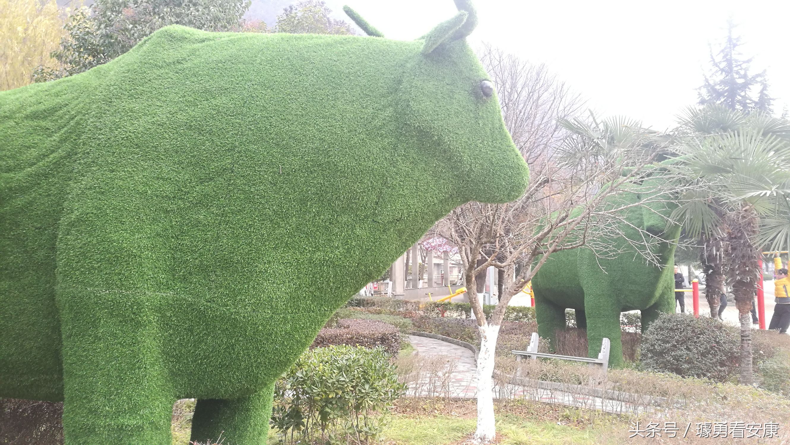 这里是中国慢城，一个让人能够宁静的城市这里环境美人情更美