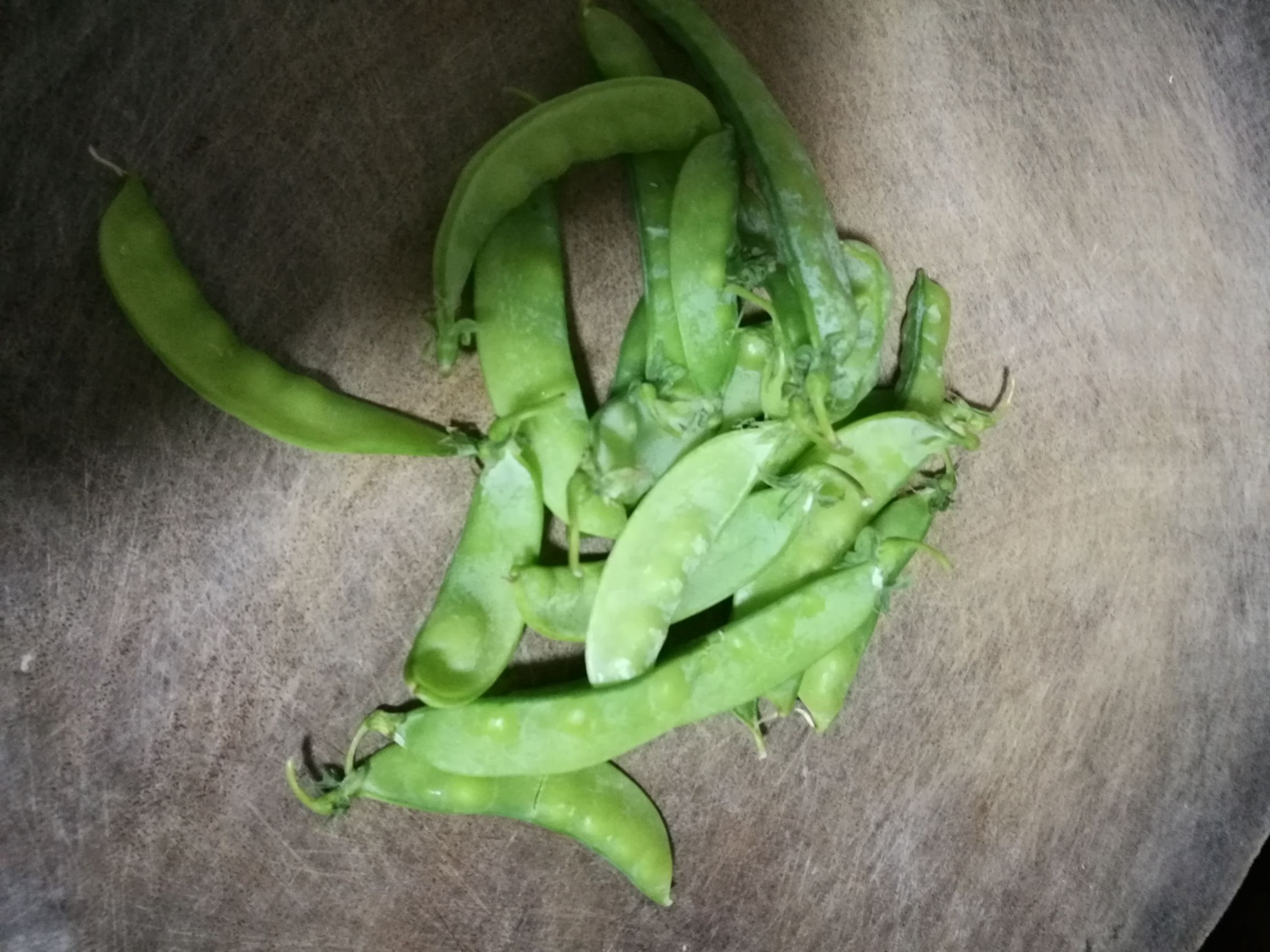 正宗香菇肉酱面,粉丝香菇包子的做法视频