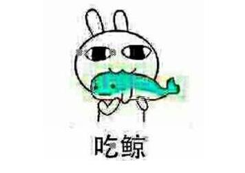 支付宝为什么要发这么大红包,支付宝红包大战最新