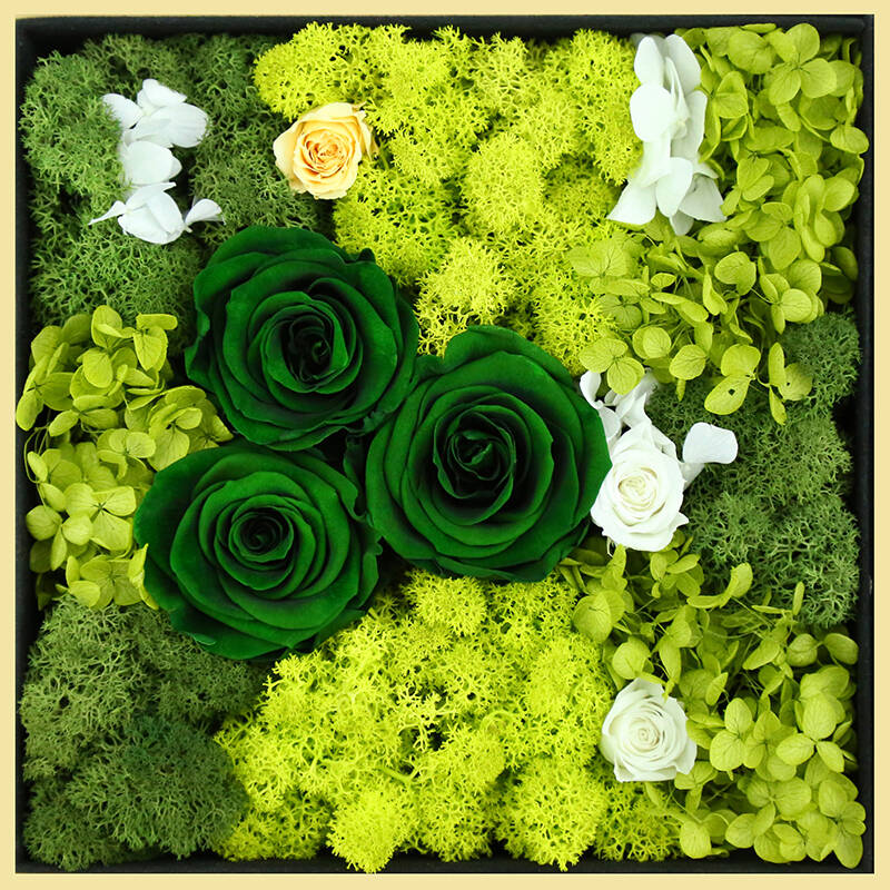 鏈変粈涔堢粡涔呬笉琛扮殑鍝佺墝,閭ｄ簺涓嶄负浜虹煡鐨勯《绾уア渚堝搧鍝佺墝