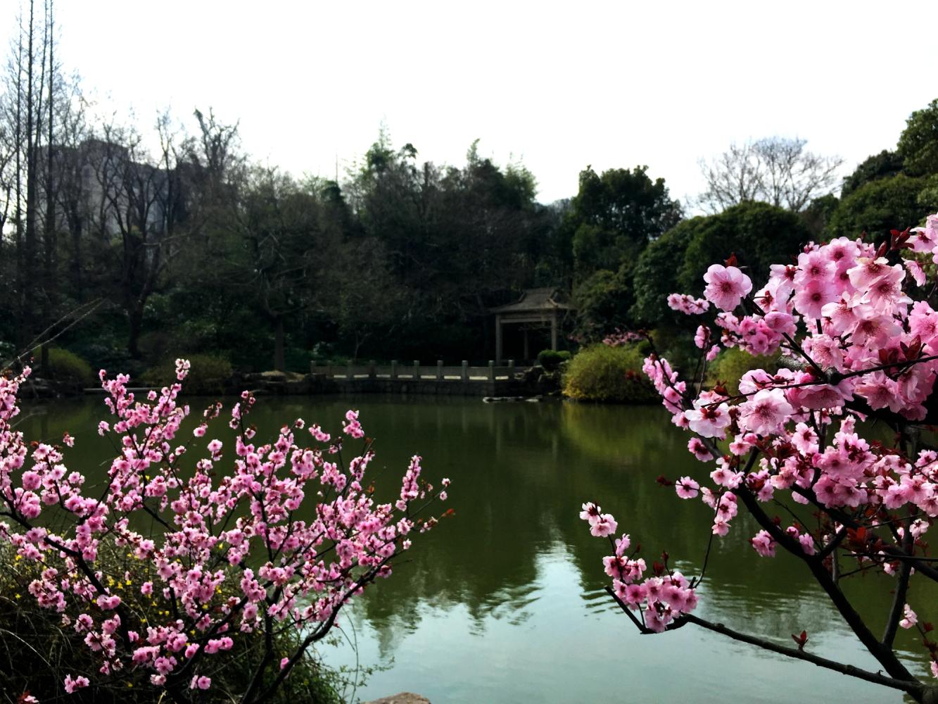 澶粨鍗楀洯鍘嗗彶鑳屾櫙,鍥捐澶粨鍘嗗彶
