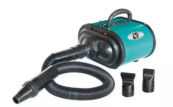 什么狗养起来便宜又不臭,什么狗养起来最省力