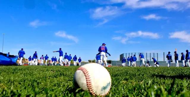 棒球体育培训,棒球培训有多火