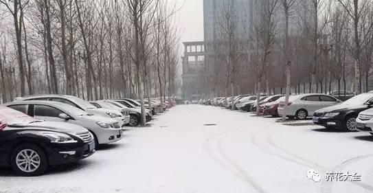 雪水、食盐、白糖、维生素，能让花枝繁叶茂，你信不信？