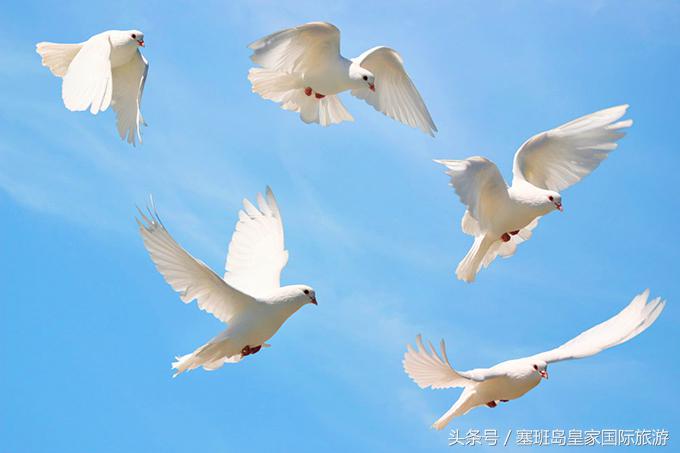 塞班岛冬季旅游攻略,塞班岛春节旅游视频