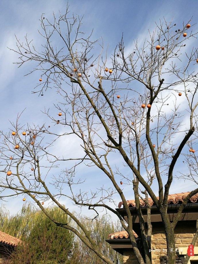 青岛哪里可以泡冰水浴,青岛什么地方可以泡温泉泡澡