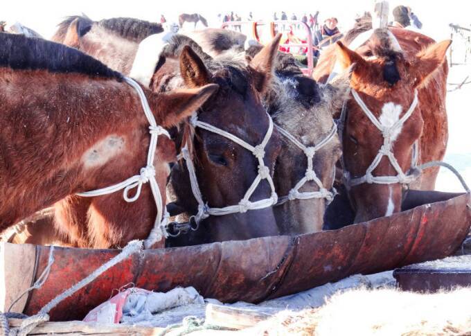 查干湖冬捕纪录片全集,查干湖冬捕地点在哪里