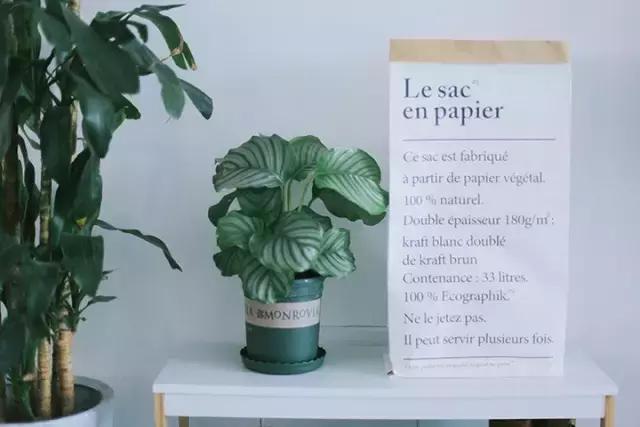 airbnb上订的民宿和房东一起住吗,airbnb十大最受欢迎住宿