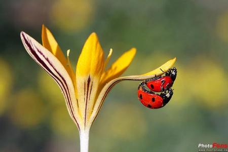 12月23日大盘策略分析,抄底攻略从理性分析到技巧结合