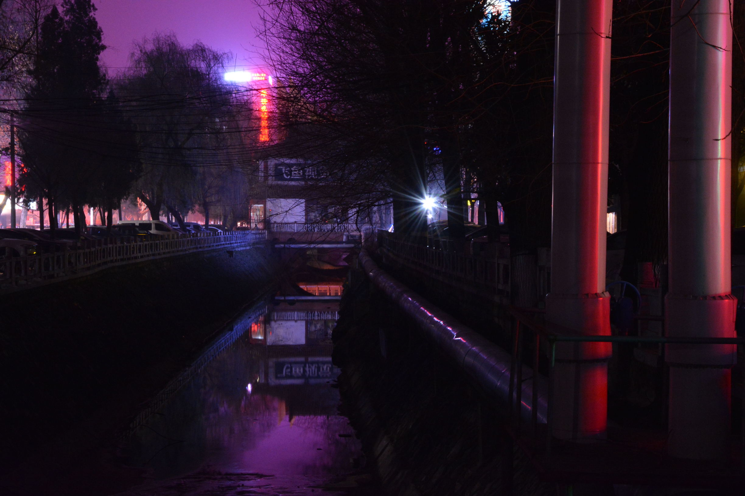 尼康D5200扫街,狗头基本够用