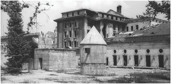 二战中纳粹发明的神经性毒素,德国真实的绝命毒师