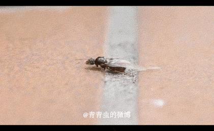 十条笑话笑死,十条笑话精选带图