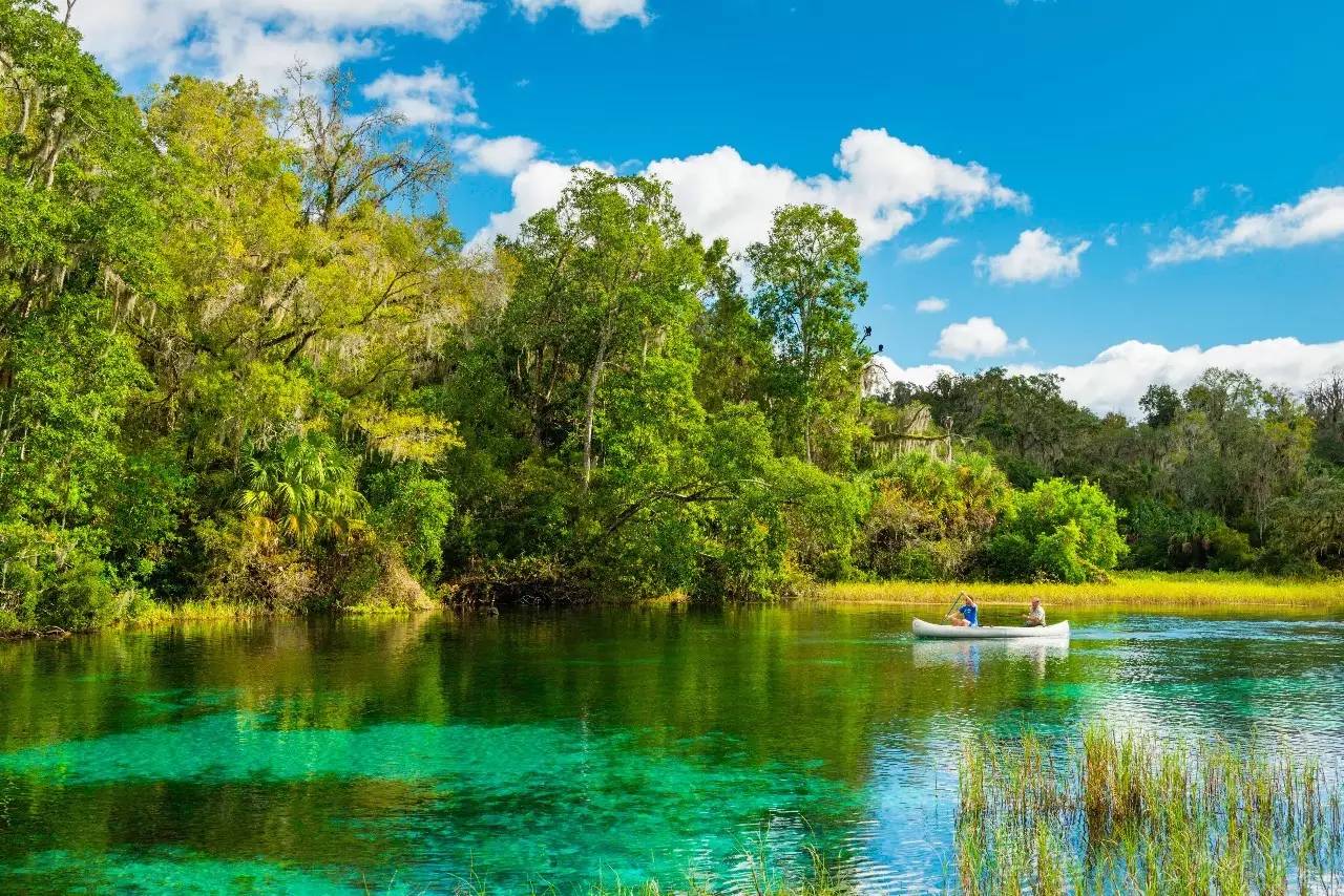 西班牙美食之旅2017,马德里旅游美食