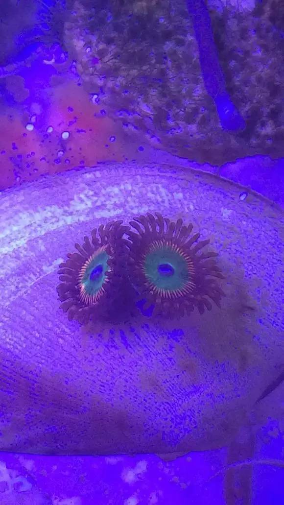 玩的真溜,三千玩出了三万的水平!