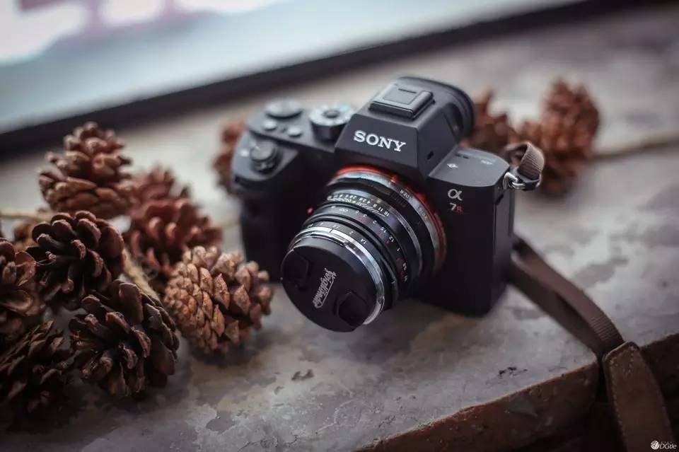 我找来5位很会花钱的好朋友,分享了她们的年度最爱清单!