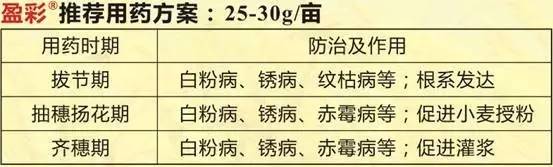 今日优品品牌零食,今日优品个体店