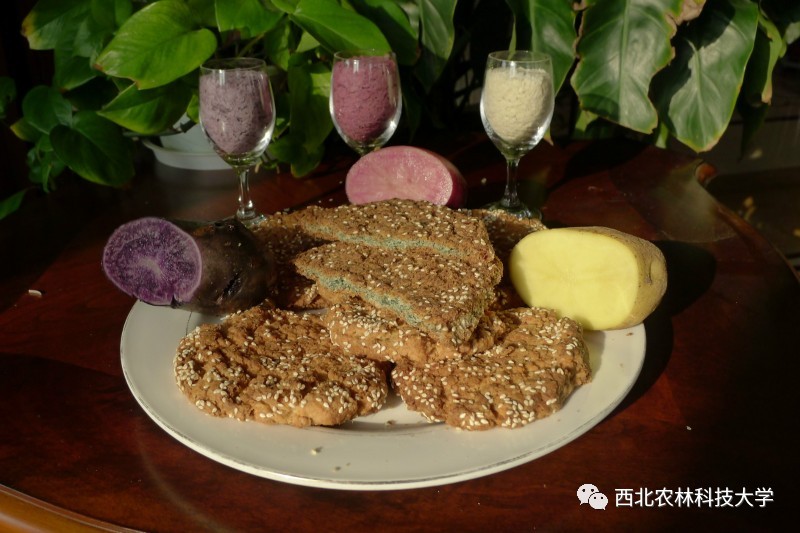 土豆烧牛肉最正宗做法视频,土豆烧牛肉为什么牛肉很硬