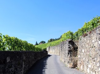 记忆里的那一抹蓝作文,记忆中的那一抹蓝色