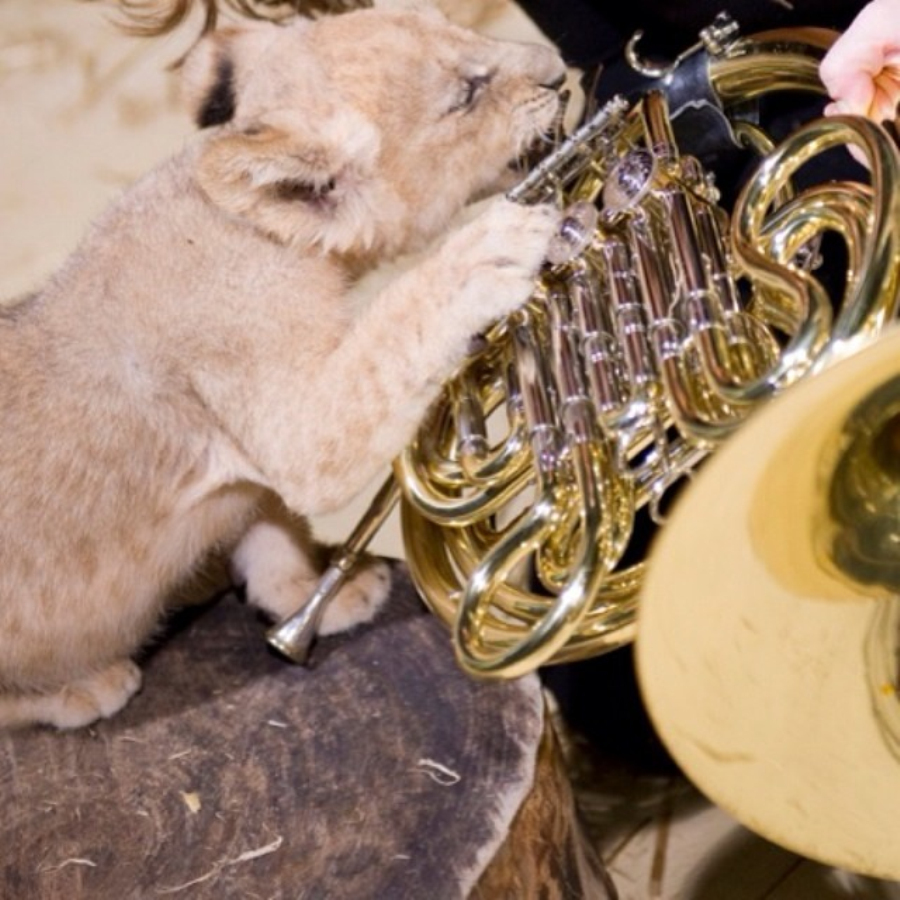 做核磁共振半道跑出来的多吗,做核磁共振途中为什么要推针水