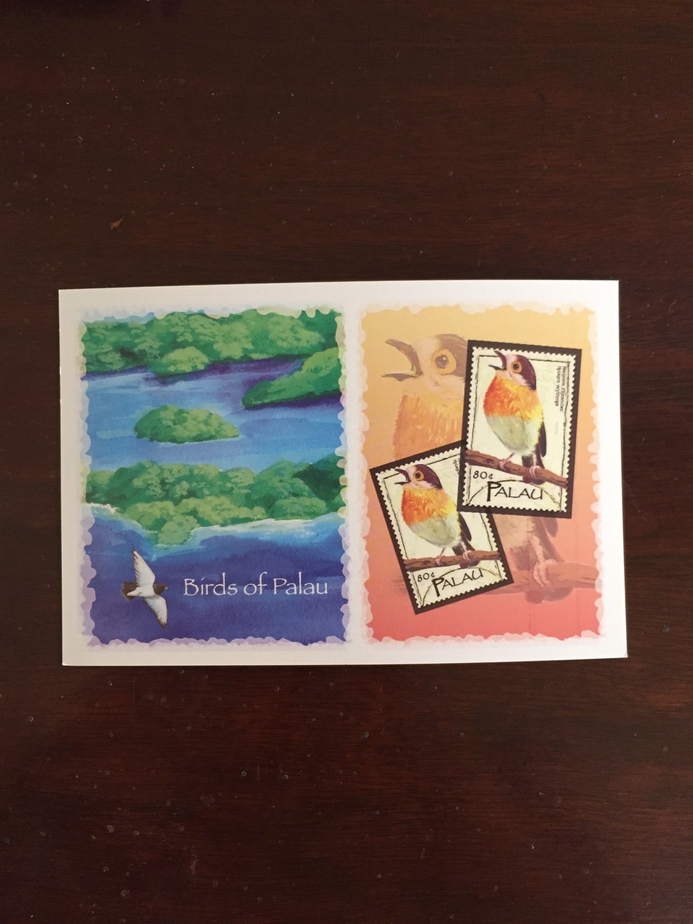 帕劳旅行攻略大全图文,帕劳旅行攻略图文大全